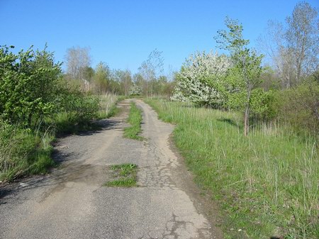 Miracle Mile Drive-In Theatre - Another Driveway - Photo From Water Winter Wonderland (newer photo)